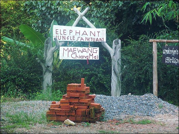 chiang mai fil koruma merkezi - chiang mai elephant jungle sanctuary