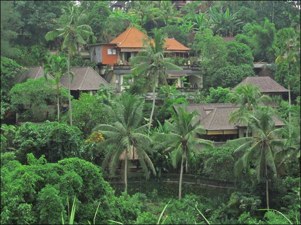 Campuhan Ridge Walk, Indonesia