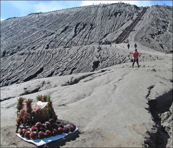 Tanrılara sunulmak için satılan çiçekler, Bromo Yanardağı