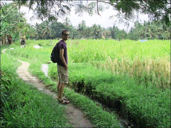 Ubud'da yürürken, Bali