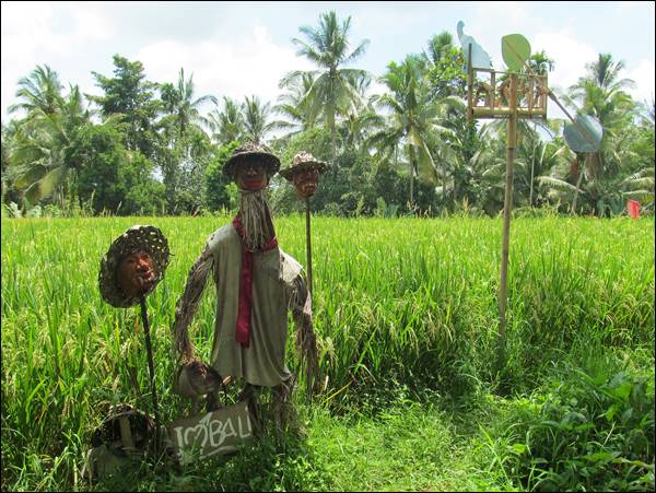 Ubud Doğa Yürüyüşü, Endonezya