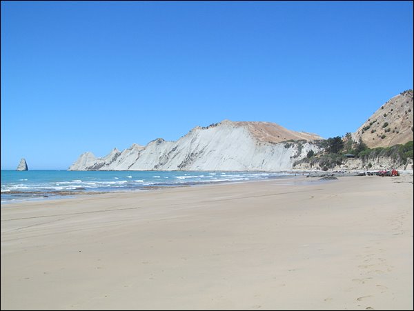 Cape Kidnappers Sümsük kuşu kolonisine nasıl gidilir?