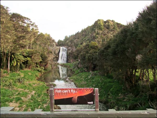 Hunua Şelalesi Gezisi, Yeni Zelanda Gezisi