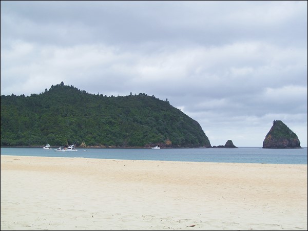 New Chums Beach, Coromandel - New Zealand Travel Guide