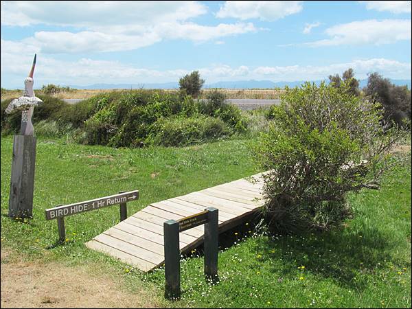 Miranda Bird Hide Track, New Zealand