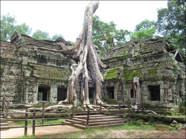 Ta Phrom Tapınağı, Siem Reap Gezi Rehberi