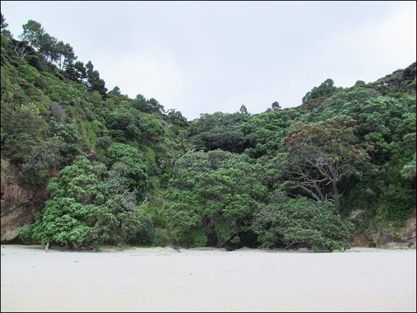New Chums Beach, New Zealand