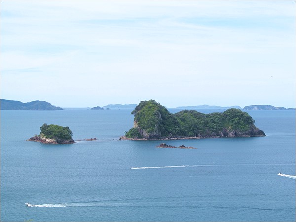 Katedral Koyu Gezi Yazıları, Coromandel - Yeni Zelanda (8)