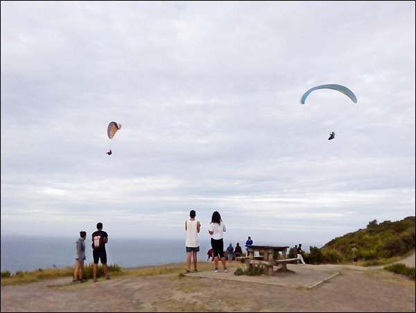 Mount Maunganui Gezi Yazıları, Tauranga - Yeni Zelanda