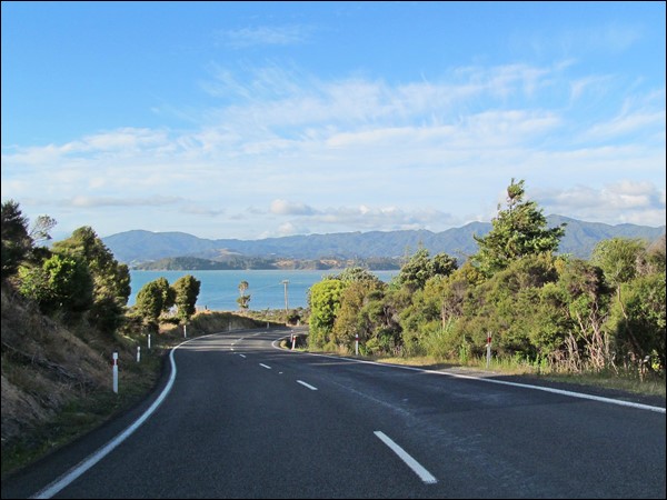 New Zealand Road Trip