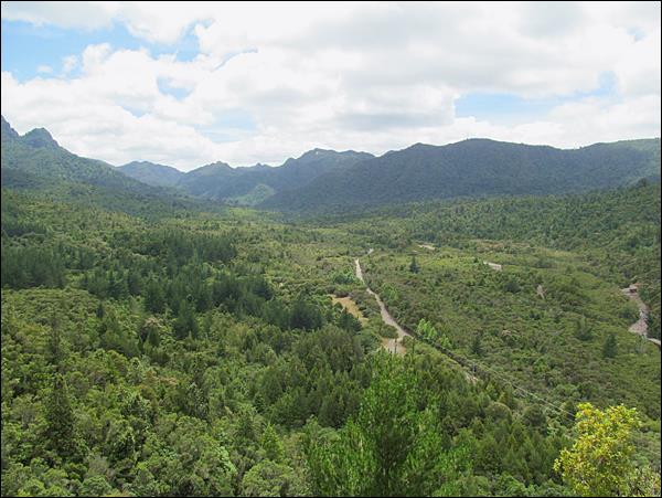Edward's Lookout (Edward Seyir Noktası), New Zealand