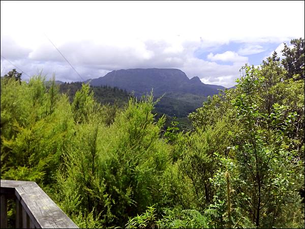 Outlook 76 walking track, New Zealand