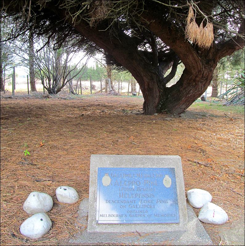 Messines Layby Memorial Park - Featherstone - New Zealand