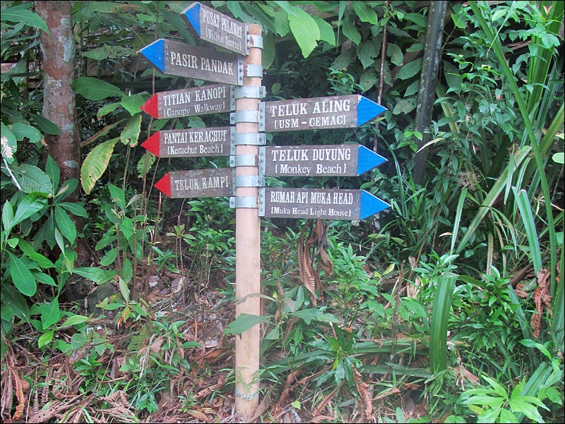 Penang Milli Parkı (Penang National Park) Gezi Rehberi - Malezya Yazıları