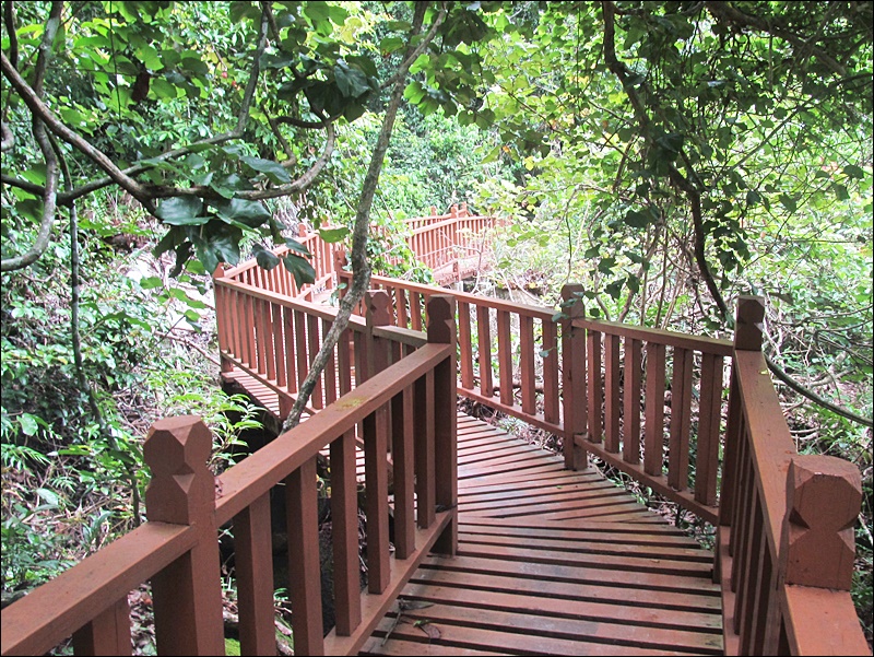 Penang Milli Parkı (Penang National Park) Gezisi - Malezya Rehberi
