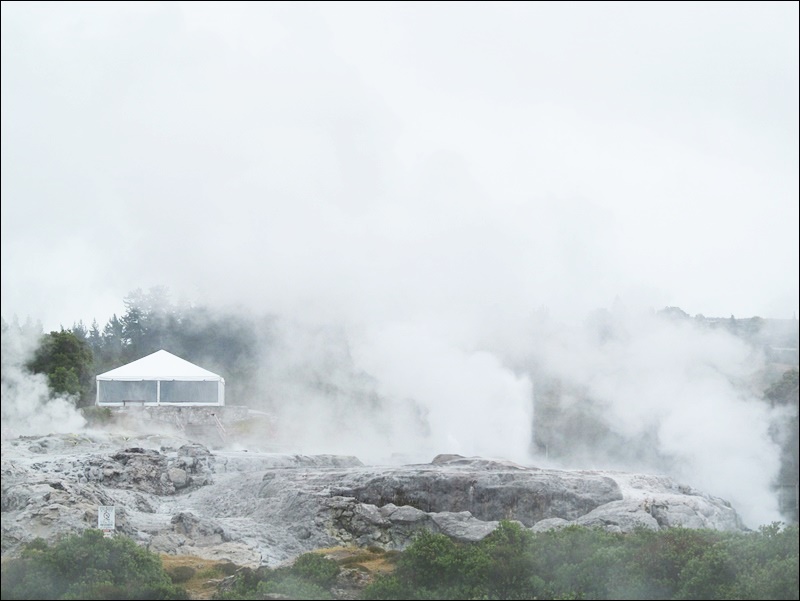 Whakarewarewa Maori Köyü - Rotorua'da Neler Yapılır?
