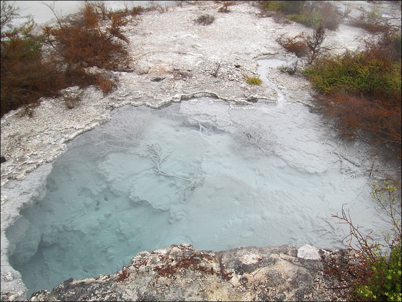 Whakarewarewa Maori Köyü - Rotorua, Yeni Zelanda Tur Rehberi
