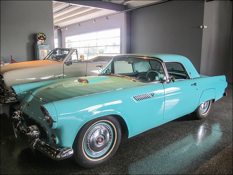 1955 Ford Thunderbird Coupe - Bill Richardson Transport World - Yeni Zelanda Gezisi