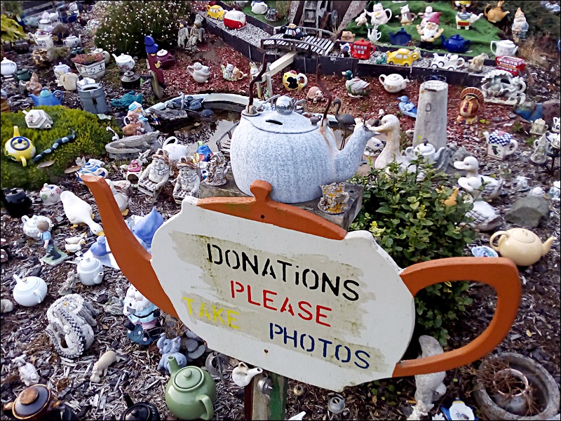 Teapot Garden - Teapotland - Owaka, New Zealand