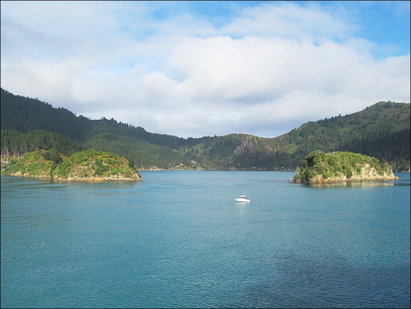 Picton'dan Wellington'a giden feribot, Yeni Zelanda
