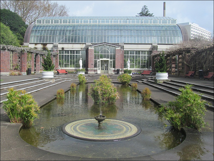 Auckland Winter Gardens - Yeni Zelanda'da Gezilecek Yerler