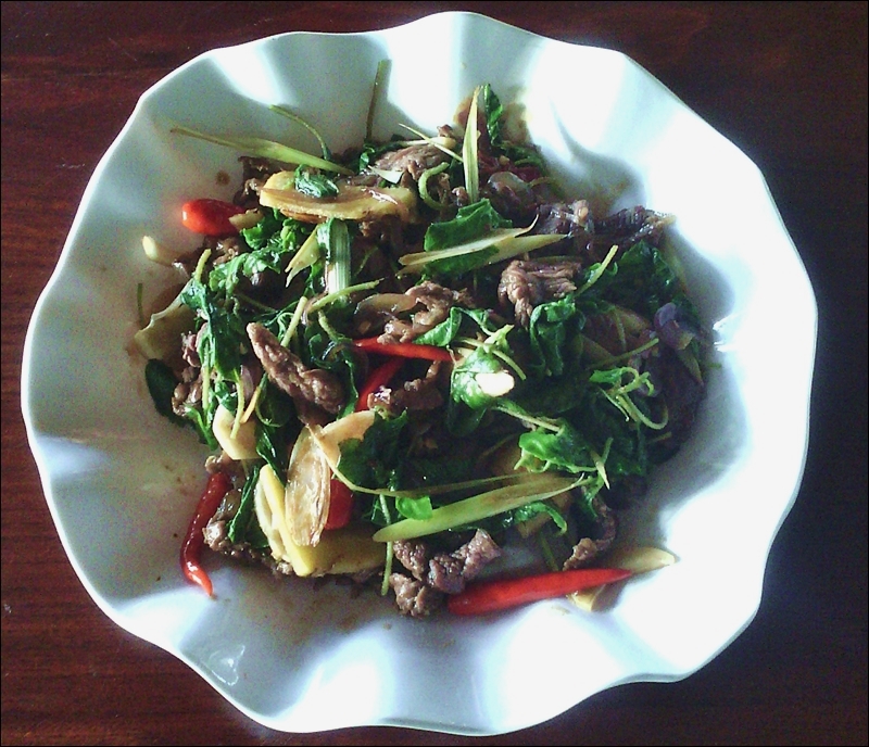 Fried herbs with beef, hot chilies