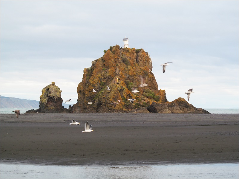 Whatipu Beach, New Zealand