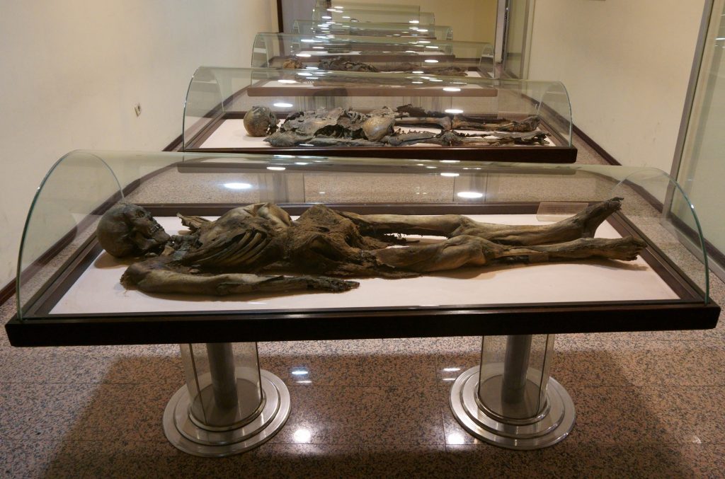 600 yıllık Mumya Odası - Amasya Arkeoloji Müzesi