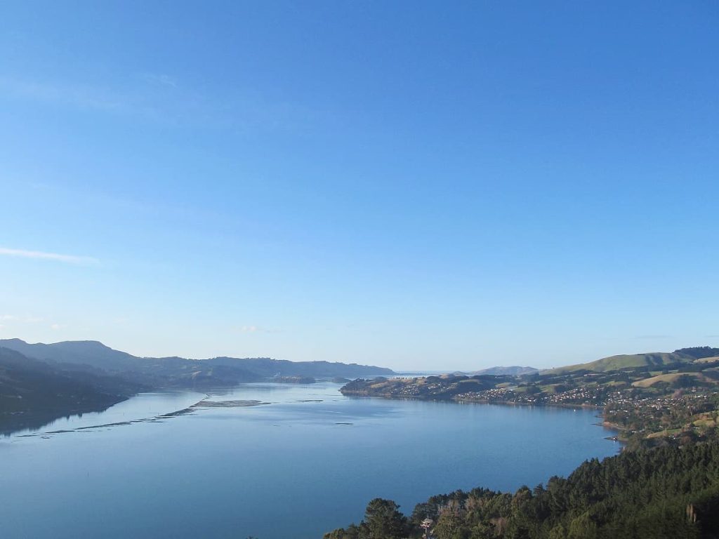 Dunedin Otago-Yarımadası-Yeni-Zelanda