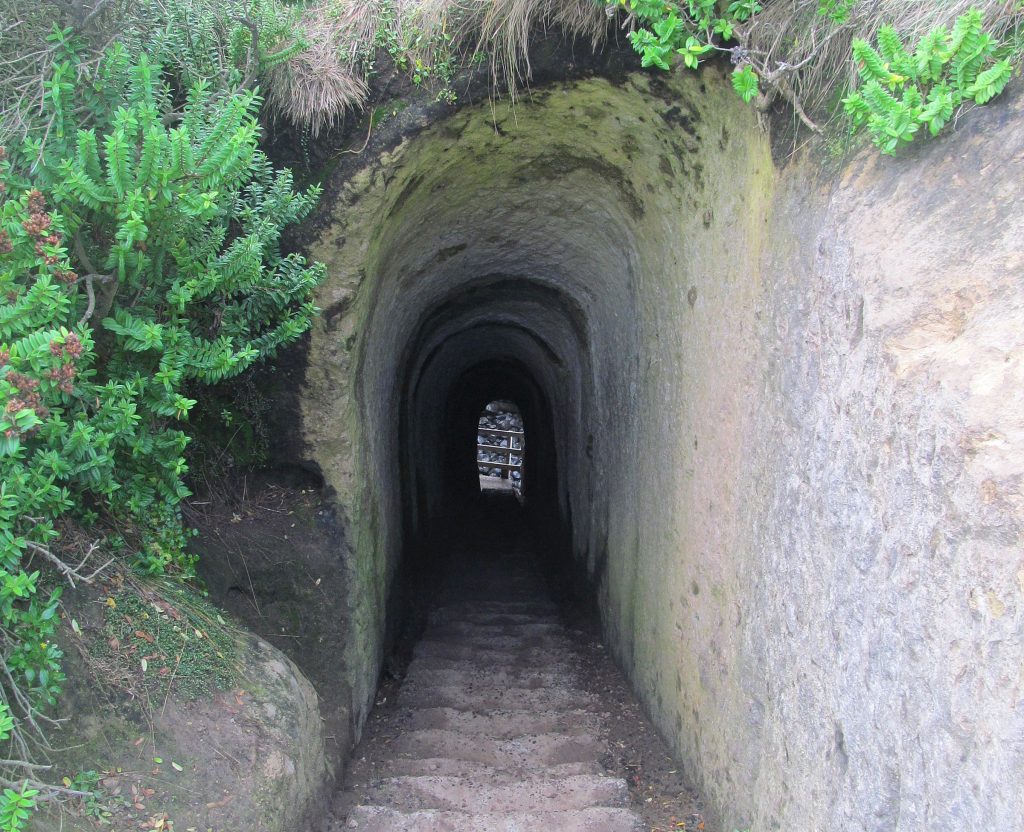 Tünel Plajı, Yeni Zelanda