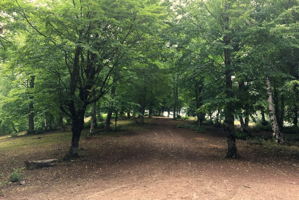 Kapıkaya, Bafra - Samsun Kamp Alanları