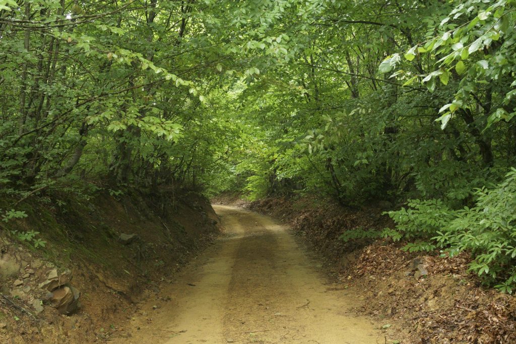 Samsun Kapıkaya Festivalii