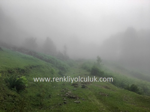 sisli nebiyan dağı