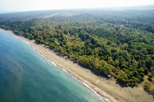Amazon Tabiat Parkı, Terme - Samsun Gezi Rehberi