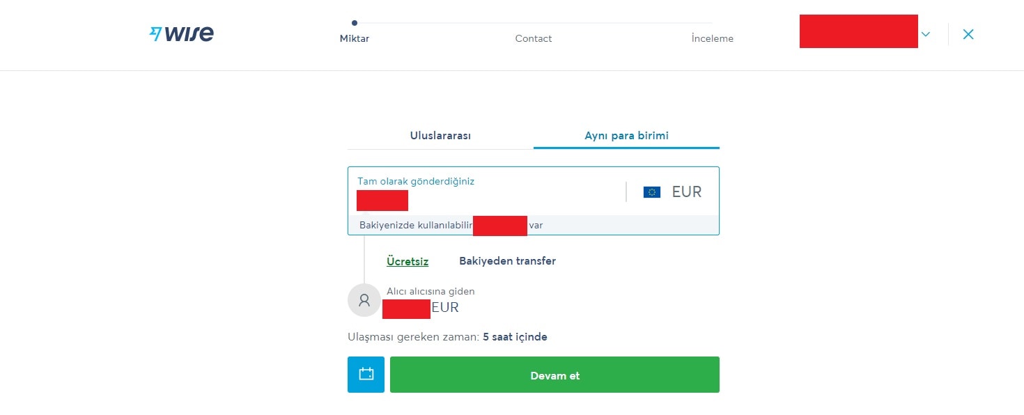 wise yurtdisina euro gonderimi